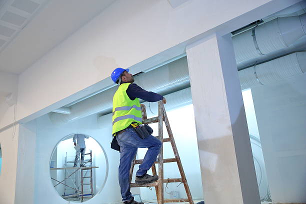 Margate, FL Mold Removal Company